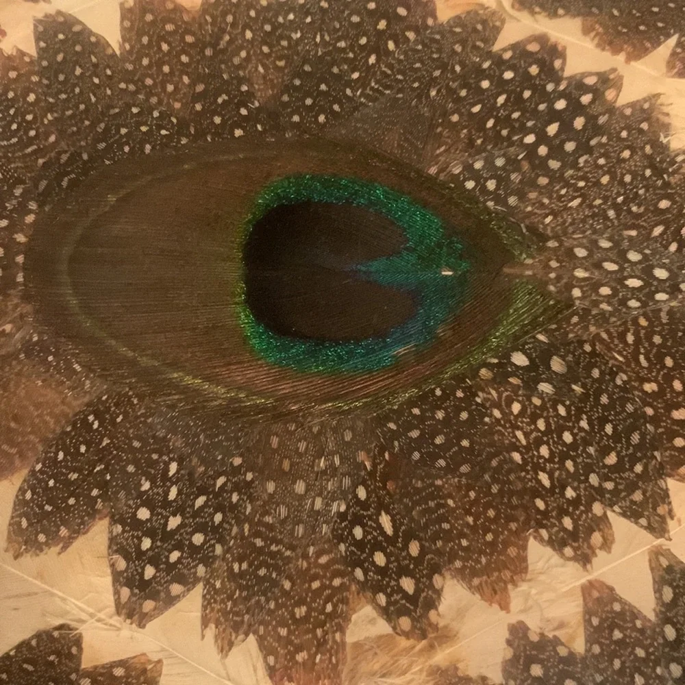 FRIDAY SALE~•= PEACOCK Feather clutch - Picture 2 of 8